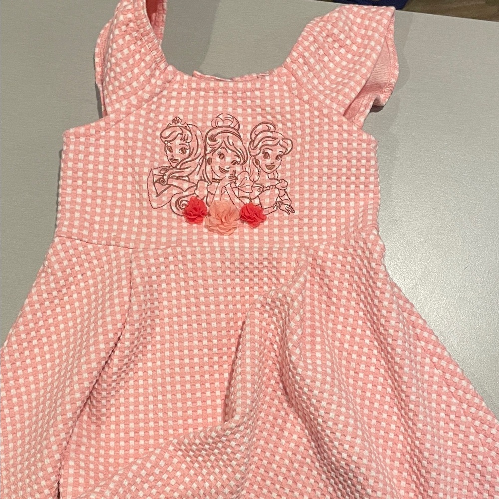Disney Princess Pink Checkered Dress with Princess Embroidery.